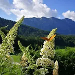 Ferienhaus-bregenzerwald بيزاو