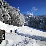 Ferienhaus-bregenzerwald بيت للعطل *