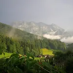 Ferienhaus-bregenzerwald * بيزاو