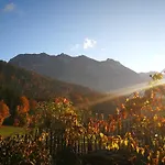 Ferienhaus-bregenzerwald *