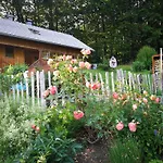 Ferienhaus-bregenzerwald بيزاو