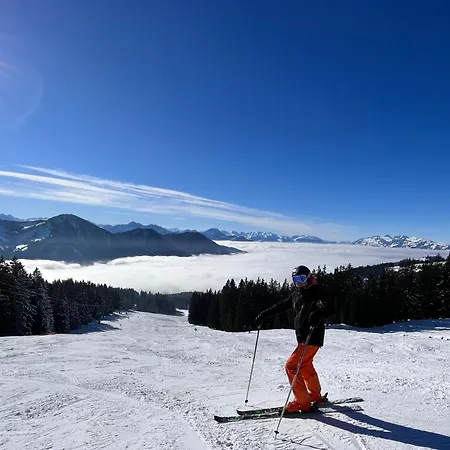 Holiday home Ferienhaus-bregenzerwald Bizau