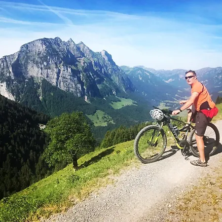 Holiday home Ferienhaus-bregenzerwald *