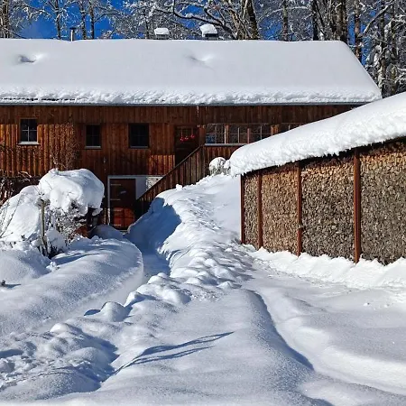 Holiday home Ferienhaus-bregenzerwald *