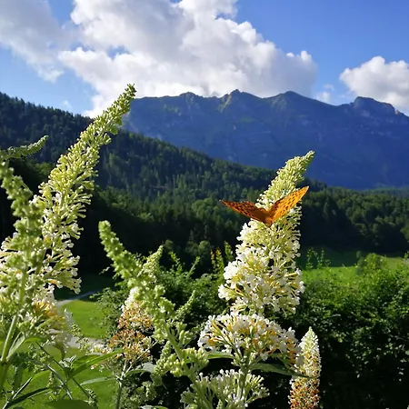 Ferienhaus-bregenzerwald * Bizau