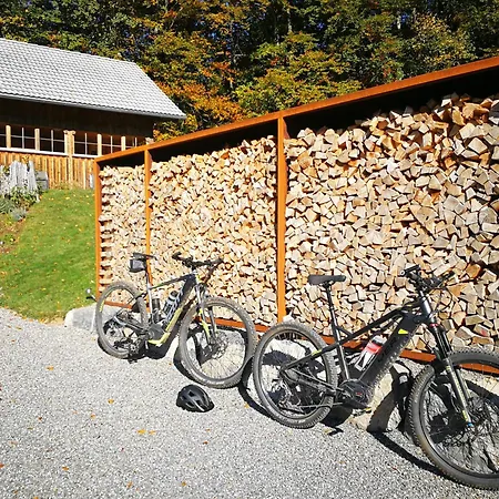 펜션 Ferienhaus-bregenzerwald *